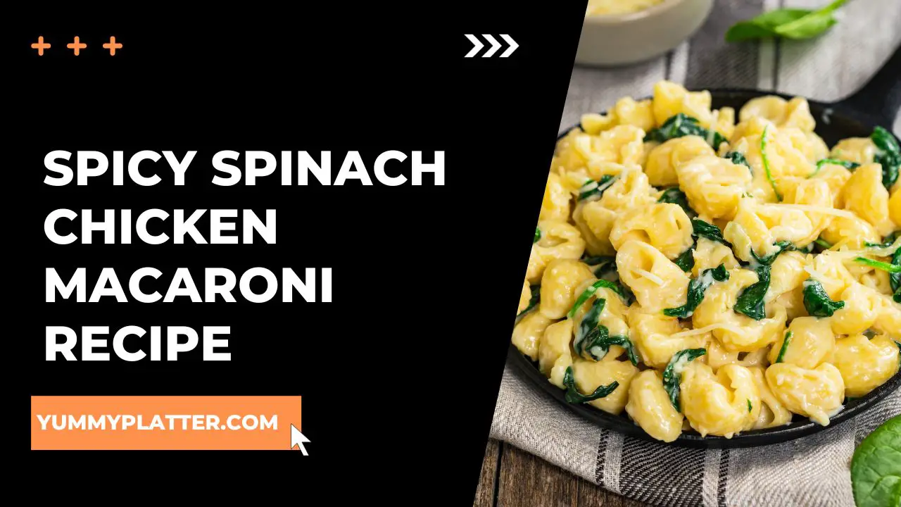 Spicy Spinach Chicken Macaroni Recipe