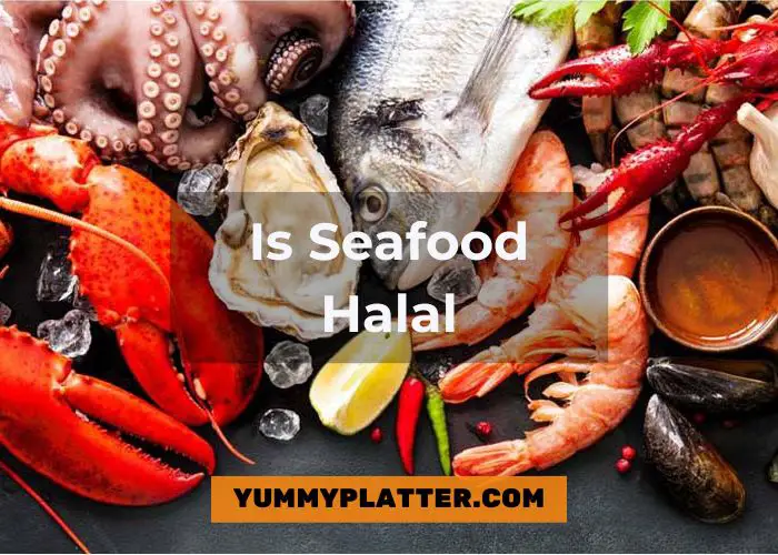 Is Seafood Halal