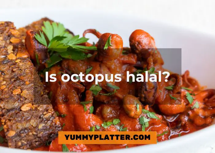 Is octopus halal